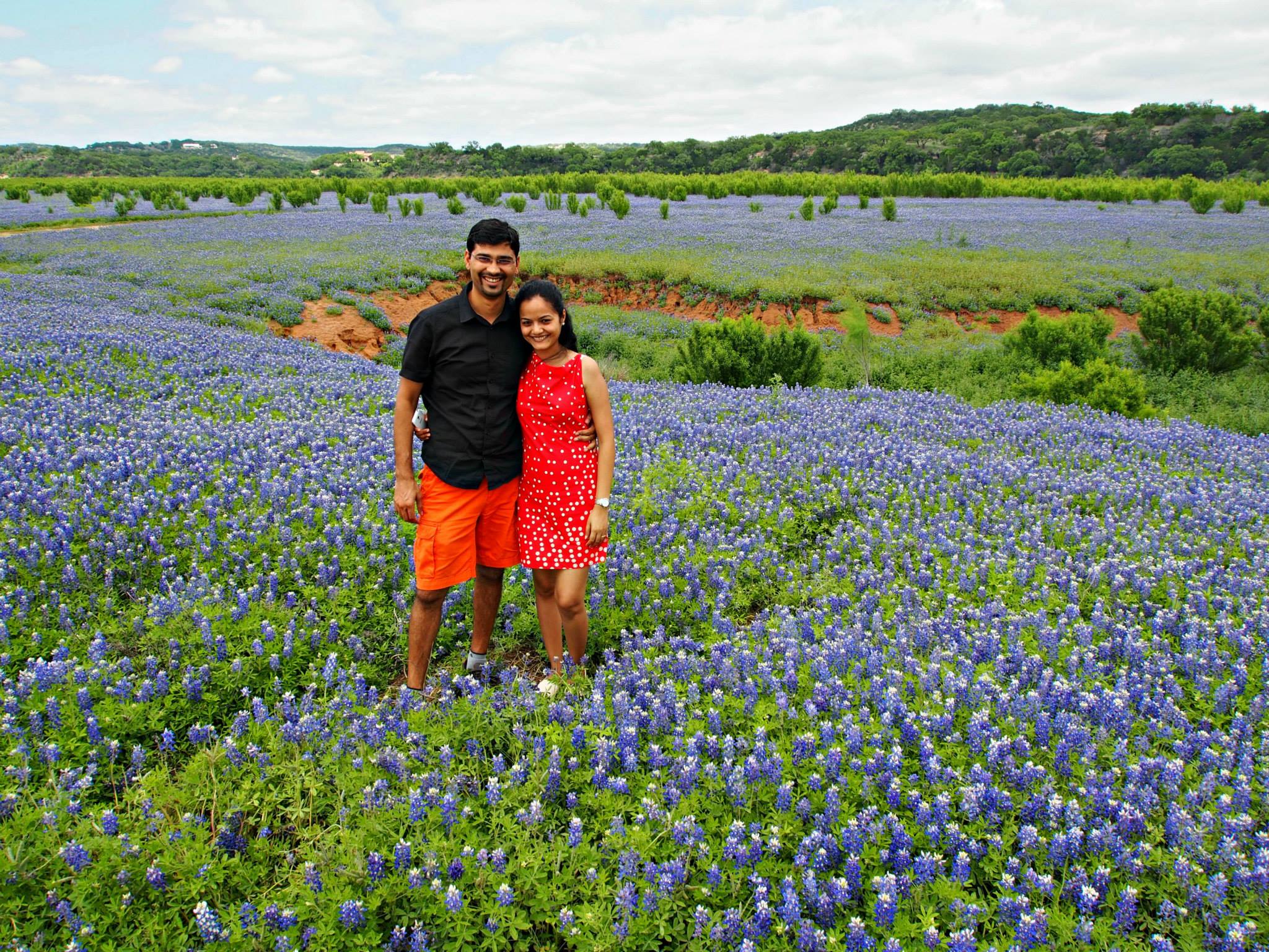 Where To See Bluebonnets In Texas