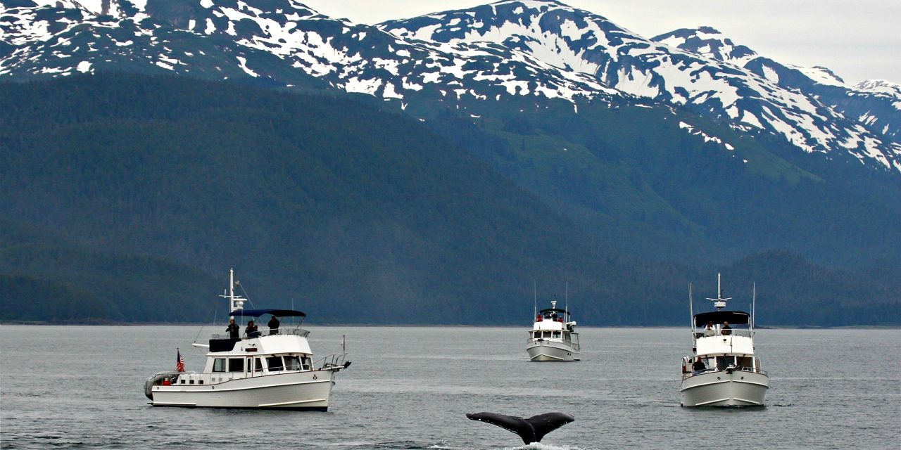 Alaska Cruise: Mendenhall Glacier and Whale Watching in Juneau