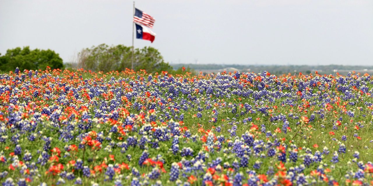 10 Fun Things To Do In Texas This Spring