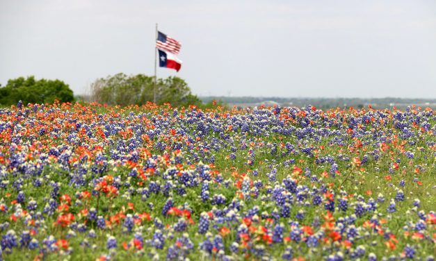 10 Fun Things To Do In Texas This Spring