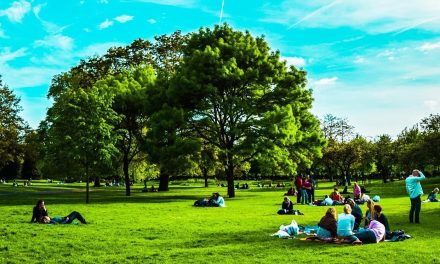 Picnicking in Hyde Park, London