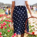 Texas Tulips: A Piece Of Holland In Texas