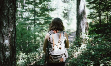 Backpacking Essentials For Newbies