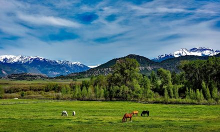 What I’m Packing For My Summer Mountain Trip To Colorado