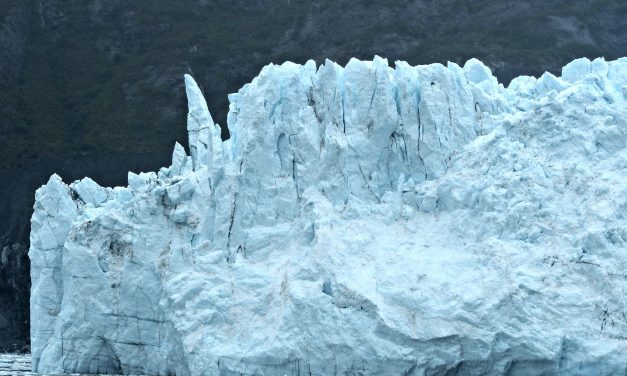 Alaska Cruise: Cruising Through Glacier Bay